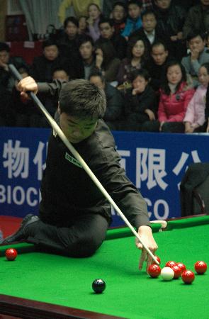 公平和透明 公平和透明