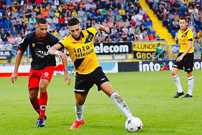 球迷和教练 球迷和教练