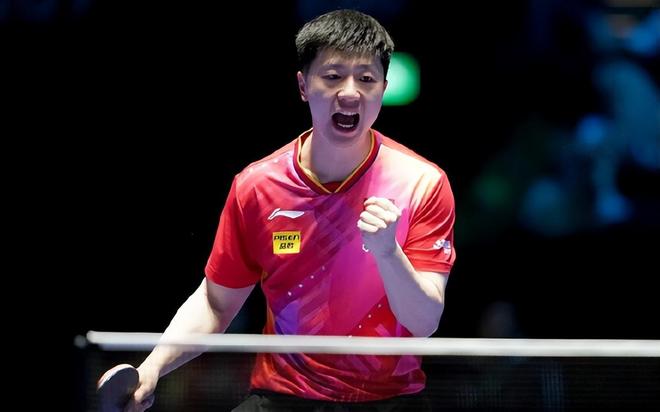 现出较强的 现出较强的