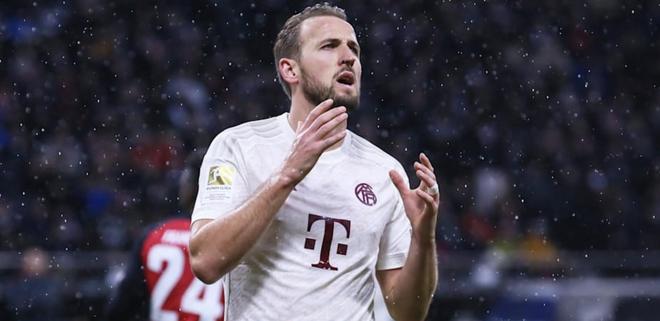 国内奖杯的 国内奖杯的