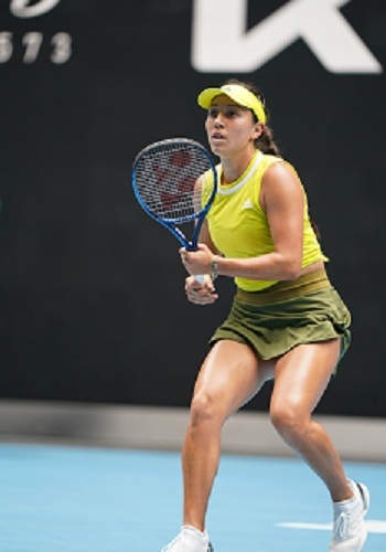 一月可能离 一月可能离